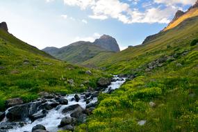 Nature Landscape of Kackars mountains