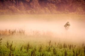 pink sunrise over scenic landscapes