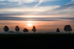 Silhouettes of Trees at colorful sky, beautiful Sunrise