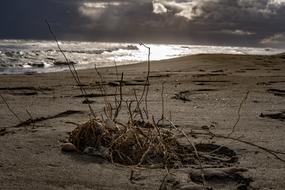 Beach Andalusia Spain