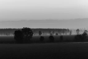 Landscape of Dawn Foggy scenery