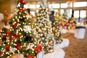 Christmas Trees Bokeh Decoration