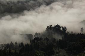 panoramic view of rainforest in fog