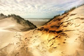 Sea sand Dunes Beach