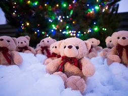 Toys Bears Plush at christmas