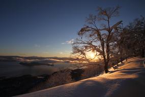 Sunrise Snow Mountain