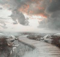fog in a mystical scenic landscape