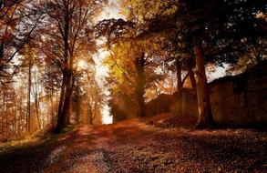 Nature Park path