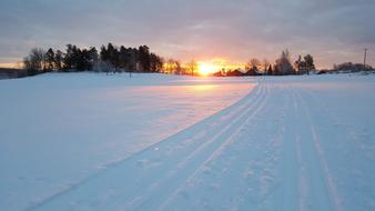 landscape of Snow Winter Nature