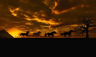 Beautiful landscape with the silhouettes of the horses near the tree, at beautiful and colorful sunset, among the clouds