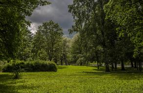 green nature before a thunderstorm