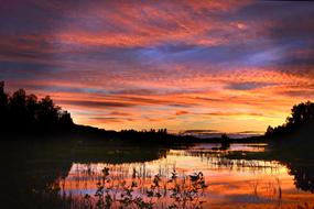 Sunset Nature Landscape