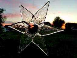 Star Flower Glass