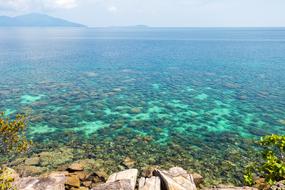 Tropical Summer Waters