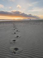 No Person on Beach at Sunset