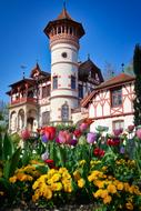 historic castle and garden flowers