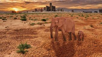 landscape of Desert Travel Nature