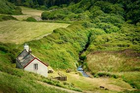 Nature Landscape Grass