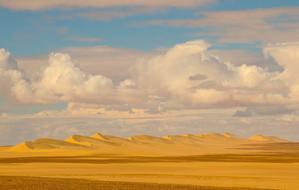 Desert Dunes Sand