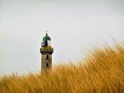 Lighthouse amd gold grass