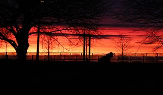 Landscape with the silhouettes of the person, among the plants, near the fence, at beautiful and colorful sunrise