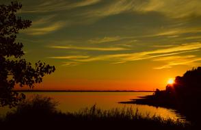 Beautiful landscape with silhouettes of the plants, on the shore in Hamburg, Germany, at colorful and beautiful sunset