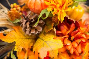 Colorful and beautiful fall plants
