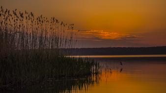 Sunset Dawn Water and grass