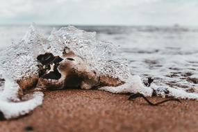 Close-up of the beautiful, shiny wave with foam, on the sandy beach of Baltic Sea, under the clouds