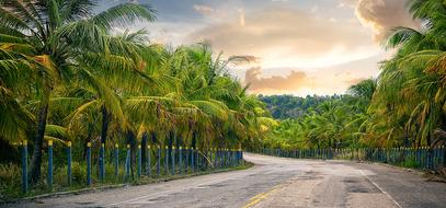 Beautiful landscape of the road, among the colorful fence and palm trees, at beautiful and colorful sunset