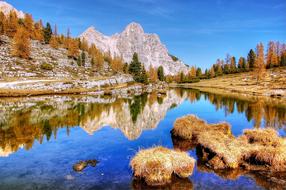 Waters Lake Nature