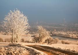 Beautiful landscape with the water, among the snowy hills with plants, near the Andernach, Germany, in the winter