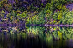 landscape of Norway Forest Lake