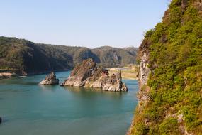 Dodam Sambong Nature