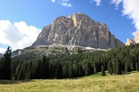 Beautiful landscape with the colorful plants, near the Dolomites in Italy, under the blue sky with clouds
