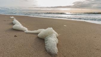 North Sea Beach foam