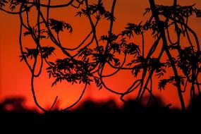 Sunset Evening Sky