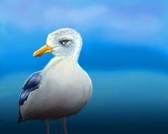 seagull on a blue background as an illustration