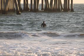 ocean Shore Beach Nature