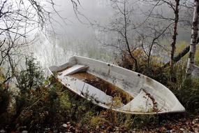 Lake at Nature Forest