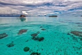 The Shallow Sea Turquoise