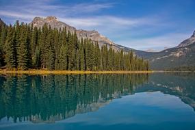 Lake Mountain Nature
