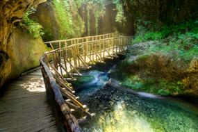 Beautiful bridge in sunlight, among the colorful plants, near the cave