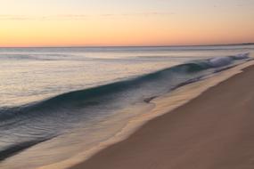 wave on a sandy beach at dusk