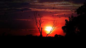Sunset Dusk Dawn