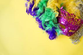 colorful masks with feathers for the holiday