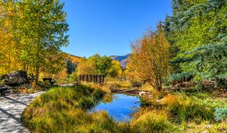 pond in autumn forest in Colorado