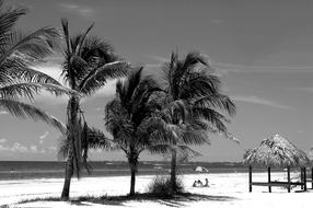 Fort Myers Beach in Florida