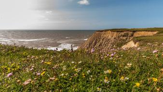 Cliff Sea in Denmark
