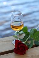 wine and rose for romance by the sea